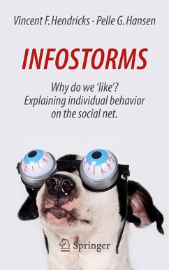 Infostorms (eBook, PDF) - Hendricks, Vincent F.; Hansen, Pelle G.