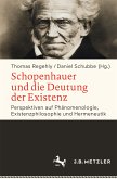 Schopenhauer und die Deutung der Existenz (eBook, PDF)