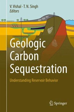 Geologic Carbon Sequestration (eBook, PDF)