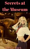 Secrets at the Museum (eBook, ePUB)