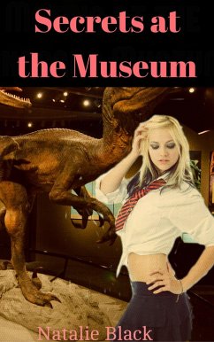 Cover Secrets at the Museum (eBook, ePUB)