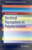Electrical Fluctuations in Polyelectrolytes (eBook, PDF)