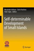 Self-determinable Development of Small Islands (eBook, PDF)