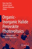 Organic-Inorganic Halide Perovskite Photovoltaics (eBook, PDF)