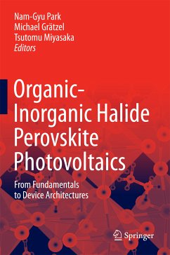 Organic-Inorganic Halide Perovskite Photovoltaics (eBook, PDF)