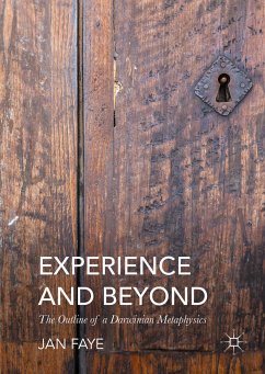 Experience and Beyond (eBook, PDF) - Faye, Jan