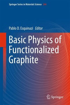 Basic Physics of Functionalized Graphite (eBook, PDF)