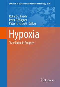 Hypoxia (eBook, PDF)