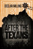 After The Texans (eBook, ePUB)