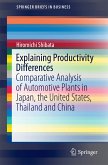 Explaining Productivity Differences (eBook, PDF)