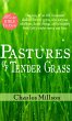 Pastures of Tender Grass (eBook, ePUB) - Bild 1
