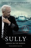 Sully [Movie Tie-In] UK (eBook, ePUB)