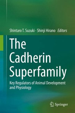 The Cadherin Superfamily (eBook, PDF)