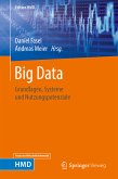 Big Data (eBook, PDF)