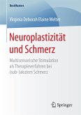 Neuroplastizität und Schmerz (eBook, PDF)