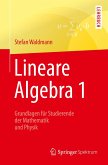 Lineare Algebra 1 (eBook, PDF)