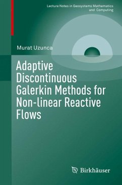 Adaptive Discontinuous Galerkin Methods for Non-linear Reactive Flows (eBook, PDF) - Uzunca, Murat