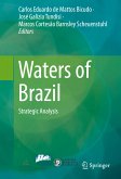 Waters of Brazil (eBook, PDF)