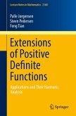 Extensions of Positive Definite Functions (eBook, PDF)