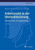 Arbeitsrecht in der Umstrukturierung (eBook, ePUB)