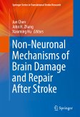 Non-Neuronal Mechanisms of Brain Damage and Repair After Stroke (eBook, PDF)