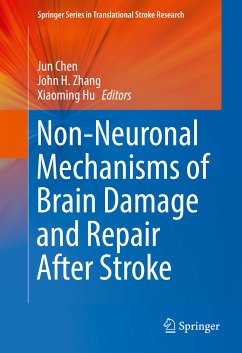 Non-Neuronal Mechanisms of Brain Damage and Repair After Stroke (eBook, PDF)