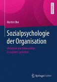 Sozialpsychologie der Organisation (eBook, PDF)
