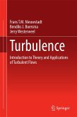 Turbulence (eBook, PDF)