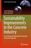 Sustainability Improvements in the Concrete Industry (eBook, PDF)