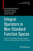Integral Operators in Non-Standard Function Spaces (eBook, PDF)