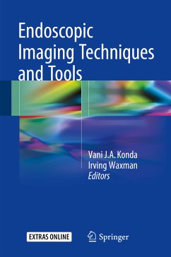 Endoscopic Imaging Techniques and Tools (eBook, PDF)