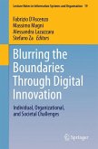 Blurring the Boundaries Through Digital Innovation (eBook, PDF)