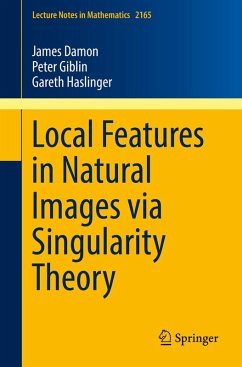Cover Local Features in Natural Images via Singularity Theory (eBook, PDF)
