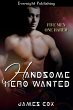 Handsome Hero Wanted (eBook, ePUB) - Bild 1