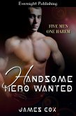 Handsome Hero Wanted (eBook, ePUB)