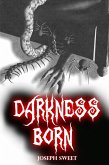 Darkness Born (eBook, ePUB)