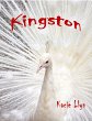 Kingston (eBook, ePUB) - Bild 1