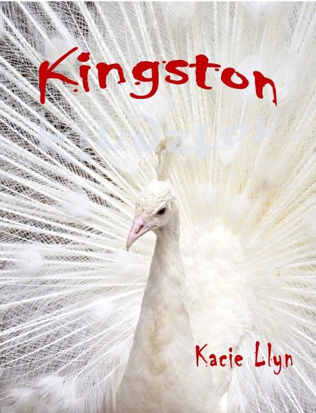 Kingston (eBook, ePUB)