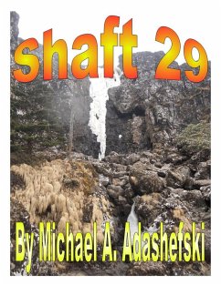Cover Shaft 29 (eBook, ePUB)