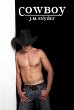 Cowboy (eBook, ePUB) - Bild 1