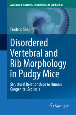 Disordered Vertebral and Rib Morphology in Pudgy Mice (eBook, PDF) - Shapiro, Frederic