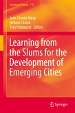 Learning from the Slums for the Development of Emerging Cities (eBook, PDF)