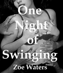 Cover One Night of Swinging (eBook, ePUB)
