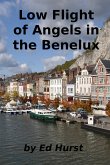 Low Flight of Angels in the Benelux (eBook, ePUB)