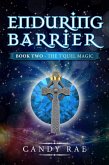 Enduring Barrier (eBook, ePUB)