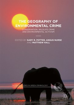 The Geography of Environmental Crime (eBook, PDF)