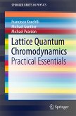 Lattice Quantum Chromodynamics (eBook, PDF)