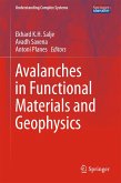 Avalanches in Functional Materials and Geophysics (eBook, PDF)
