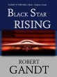 Black Star Rising (eBook, ePUB) - Bild 1