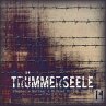 TrümmerSeele (Hörbuch) (MP3-Download) - Bild 1